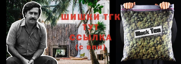 молекула духа Балахна