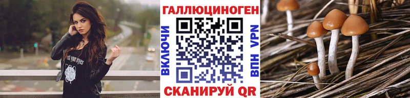 Галлюциногенные грибы прущие грибы  Ясный 